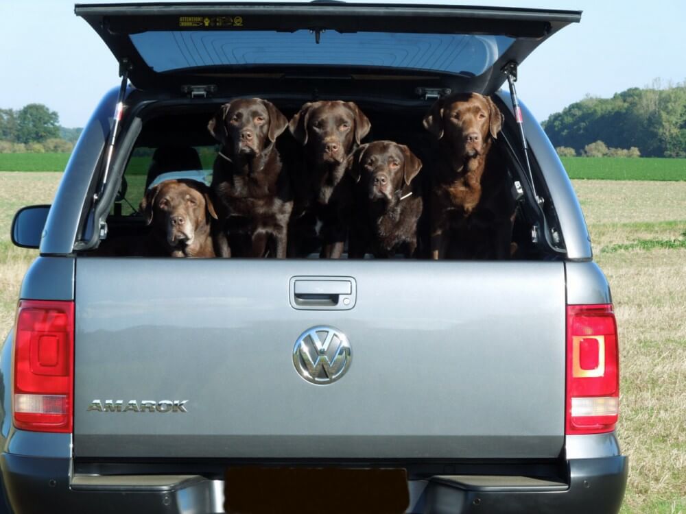 CARRYBOY Hardtop 560 mit seitlichen Schiebefenster für VW Amarok Doppelkabine hundefreunliches Hardtop